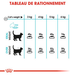 Croquettes Royal Canin Urinary Care pour chats adultes - 10 kg
