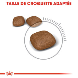 Croquettes Royal Canin Urinary Care pour chats adultes - 2 kg