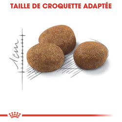 Croquettes Royal Canin Sterilised 7+ pour chats adultes stérilisés de 7 ans et plus - 10 kg