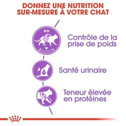 Croquettes Royal Canin Sterilised 37 pour chats adultes stérilisés de 1 à 7 ans - 10 kg