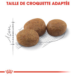 Croquettes Royal Canin Sterilised 37 pour chats adultes stérilisés de 1 à 7 ans - 10 kg