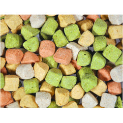 Snack chien VADIGRAN Biscuits Trainer Mix 500g