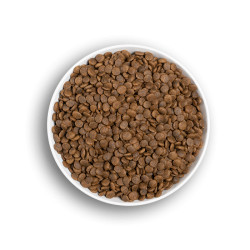 ERA CHAT STÉRILISÉ SENSIBLE Saumon & Dinde 1,25kg