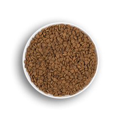 ERA CHAT Saumon frais & Canard 1,25kg