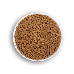 ERA CHAT Saumon frais & Canard 6kg