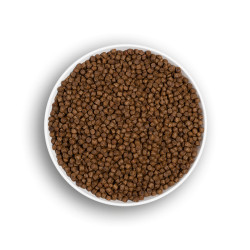ERA CHATON Poulet frais & Dinde 3kg