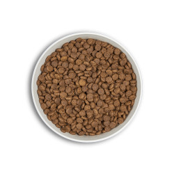 ERA MILLENNIUM CHIOT MOYENNE RACE POULET ET DINDE 12 KG