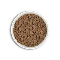ERA MILLENNIUM CHIOT GRANDE RACE POULET ET DINDE 12 KG