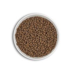 ERA MILLENNIUM CHIEN PETITE RACE SAUMON ET HARENG 6 KG