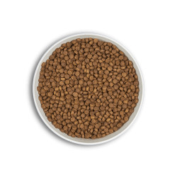 ERA MILLENNIUM CHIEN PETITE RACE POULET ET FAISAN 2 KG
