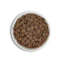 ERA MILLENNIUM CHIEN MOYENNE/GRANDE RACE SAUMON ET HARENG 2 KG