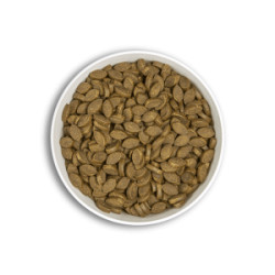 ERA SNACK CHIEN IMMUNITE 150 G