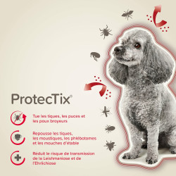 PROTECTIX 40mg/200mg Chiens -4kg x3