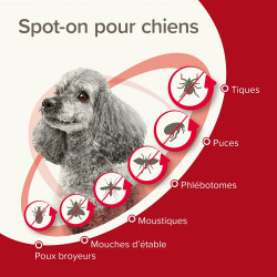 PROTECTIX 40mg/200mg Chiens -4kg x3