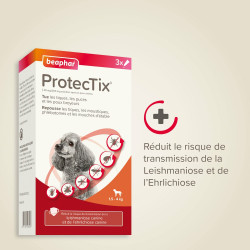 PROTECTIX 40mg/200mg Chiens -4kg x3