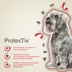 PROTECTIX 100mg/500mg Chiens entre 4 et 10kg x3