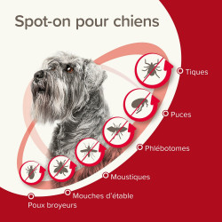 PROTECTIX 100mg/500mg Chiens entre 4 et 10kg x3