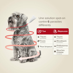 PROTECTIX 100mg/500mg Chiens entre 4 et 10kg x3