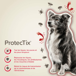 PROTECTIX 250mg/1250mg Chiens entre 10 et 25kg x3