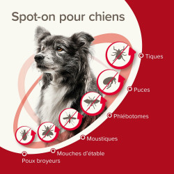 PROTECTIX 250mg/1250mg Chiens entre 10 et 25kg x3