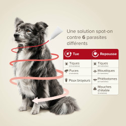 PROTECTIX 250mg/1250mg Chiens entre 10 et 25kg x3