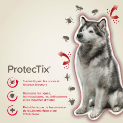 PROTECTIX 400 mg/2000mg Chiens entre 25 et 40kg x3