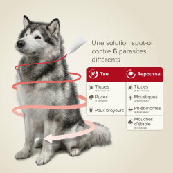 PROTECTIX 400 mg/2000mg Chiens entre 25 et 40kg x3