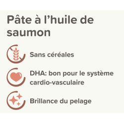 Pâte anti-boules de poils au malt 100g
