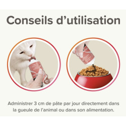 Pâte anti-boules de poils au malt 100g