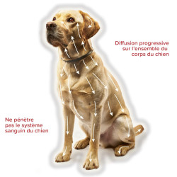 CANISHIELD 1,04g collier Grands chiens x2