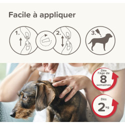 FIPROTEC COMBO 268mg/241,2mg Grands chiens x3