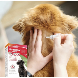 FIPROTEC COMBO 67mg/60,3mg Petits chiens x3