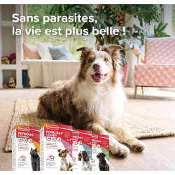 FIPROTEC COMBO 134mg/120,6mg Moyens chiens x3