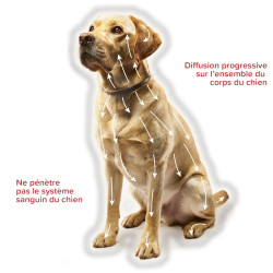 CANISHIELD 0,77g collier Petits et moyens chiens x2