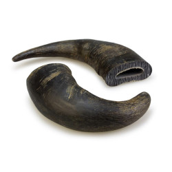 Corne de Buffle 20cm