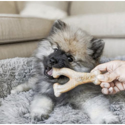 PUPPY WISHBONE BACON S