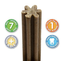 Dental sticks x8