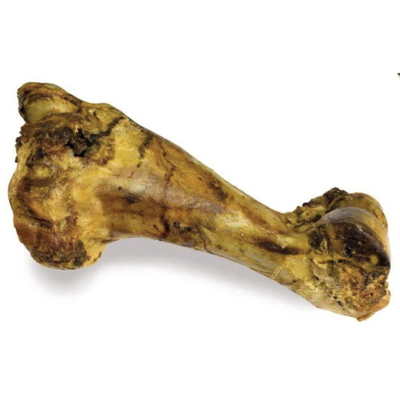 Os de boeuf "Mammouth"