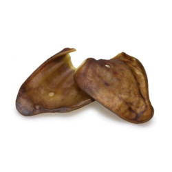 Oreilles de porc ibérique - Tailles Grandes x 30