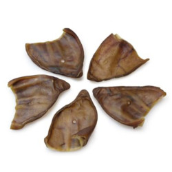 Oreilles de porc ibérique - Tailles Grandes x 30