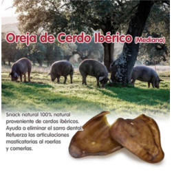 Oreilles de porc ibérique - Tailles Grandes x 30