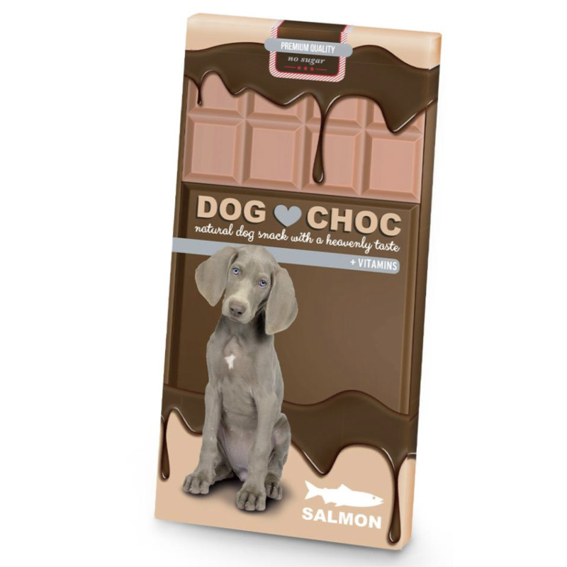 Dog Choc Saumon 100GR