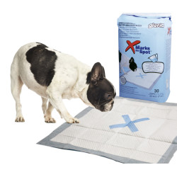 Alèses super absorbantes