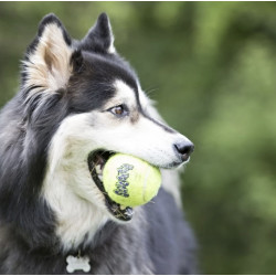 KONG Air Squeakair Tennis Ball x3 S