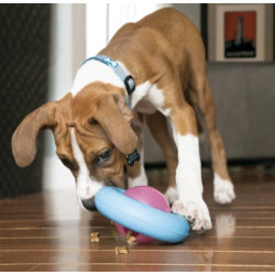 KONG Puppy Gyro S