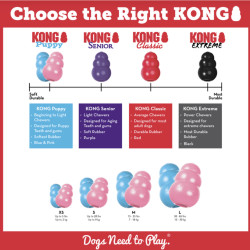 KONG Puppy S