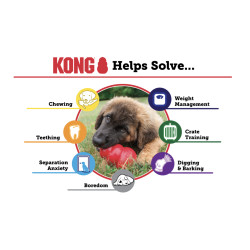 Kong Senior M