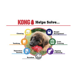 KONG Classic L rouge