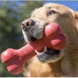 KONG Goodie Bone M
