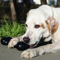 KONG Extreme Goodie Bone L